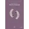 Mevki Uygarlığı