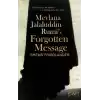 Mevlana Jalaluddin Rumis Forgotten Message