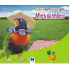 Mevsimler / Doğru mu Yanlış mı?