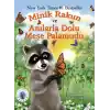 Minik Rakun ve Anılarla Dolu Meşe Palamudu