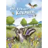 Mis Kokulu Kokarca
