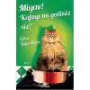 Miyav! Kafayı mı Yediniz Siz
