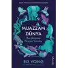 Muazzam Dünya: Beş Duyunun Ötesine Yolculuk