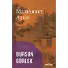 Muhabbet Ateşi