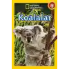 National Geographic Kids - Koalalar