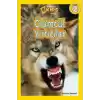 National Geographic Kids - Ölümcül Yırtıcılar