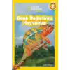 National Geographic Kids- Renk Değiştiren Hayvanlar
