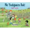Ne Yediğimize Bak Sağlıklı Yiyecekler