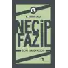 Necip Fazıl: Sıcak Yarada Kezzap