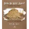 Nerde Bu Halit Amca?