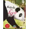 Nerede Şu Ayı ?