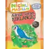 Niçinli Masallar - Adres Soran Kırlangıç