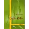 Okul Öncesinde Çoklu Zeka