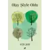 Olay Şöyle Oldu