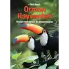 Orman Hayvanları
