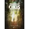 Ormandan Çıkış