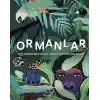 Ormanlar - Dünya  Üzerindeki Balta Girmemiş  Ormanlar, Korular ve Doğal  Rezervler