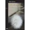 Örümceklerin Yuvalandığı Patika
