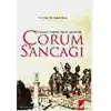 Osmanlı Teşkilat Yapısı İçerisinde Çorum Sancağı