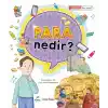Para Nedir?