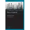Petro-Kıyamet – Küresel Enerji Krizi Nasıl Çözüle(Meye)Cek?