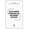 Peygamber düşmanları ne demek istiyor?