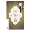 Pir-i Türkistan