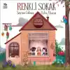 Renkli Sokak
