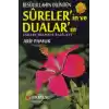 Resulullahın Dilinden Surelerin ve Duaların (Dua-032) - Esrarı, Hikmeti, Fazileti
