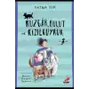Rüzgar, Bulut ve Kızılkuyruk 3