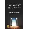 Saklambaç Oynayalım mı?
