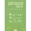 Şarkı Soloları - Türkçe Pop