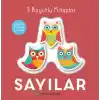 Sayılar - 3 Boyutlu Kitaplar