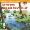 Şehirdeki Yabani Hayvanlar - Dünyayı Öğreniyorum