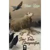 Seni Feda Etmeyeceğim