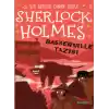 Sherlock Holmes Baskerville Tazısı