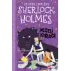 Sherlock Holmes - Peçeli Kiracı