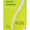 Sicim Teorisi
