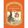 Şifalı Bitkileri Keşfeden Şınon