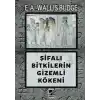 Şifalı Bitkilerin Gizemli Kökeni
