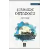 Şiirimizde Ortadoğu