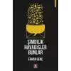 Şimdilik Havadisler Bunlar