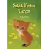Sokak Kedisi Tarçın