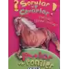 Sorular Ve Cevaplar Kart Atlar Ve Poniler