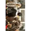 Sosyoloji Nedir?
