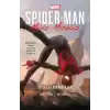 Spider-Man: Öfkeli Kanatlar