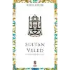 Sultan Veled