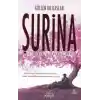 Şurina - Aşk Problemi Serisi 2