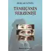 Tanrıçanın Serzenişi