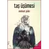 Taş Üşümesi